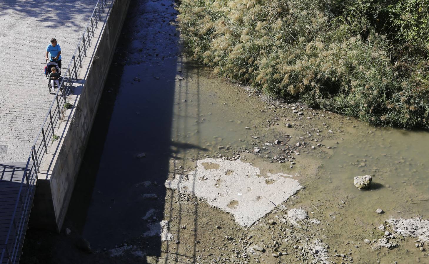 Los efectos de la sequía en el río Guadalquivir de Córdoba, en imágenes