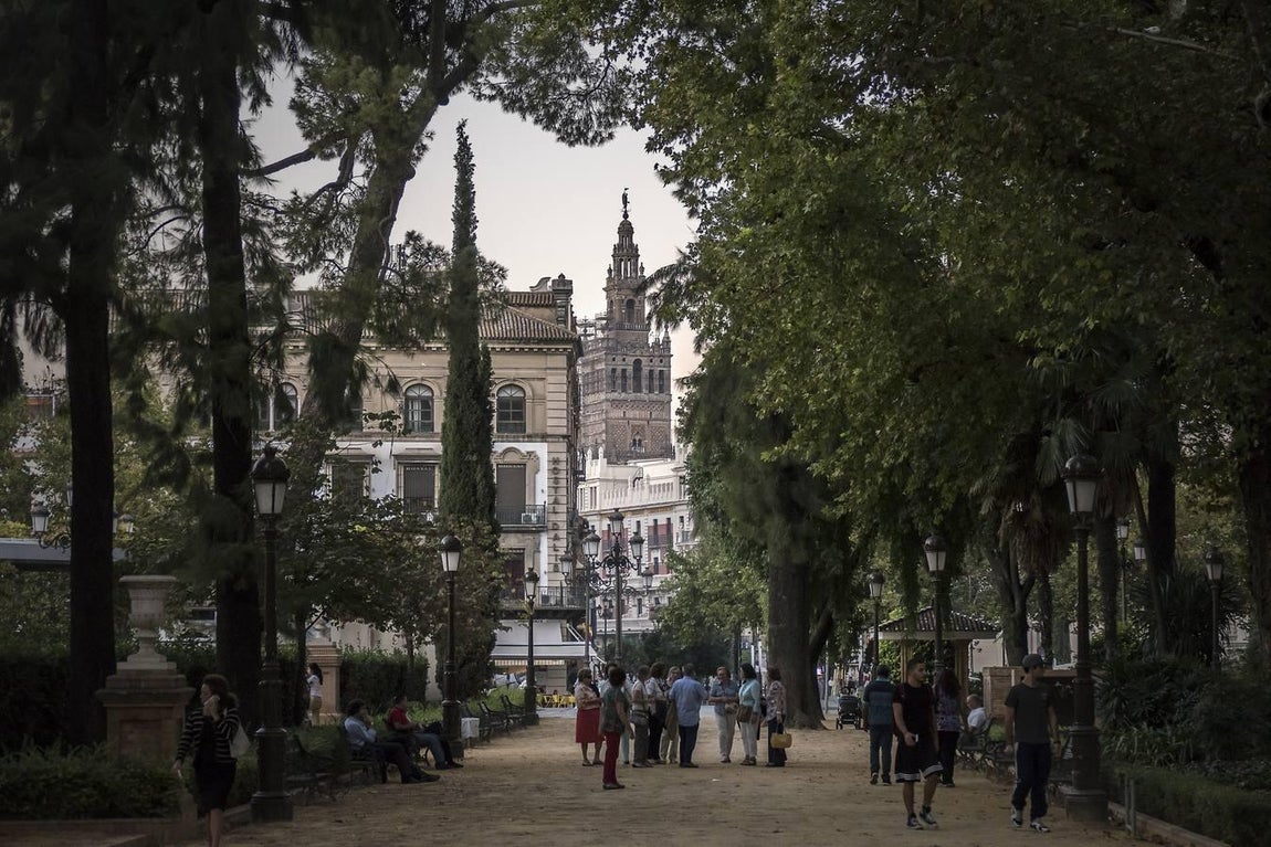 La Giralda, campanario de Sevilla