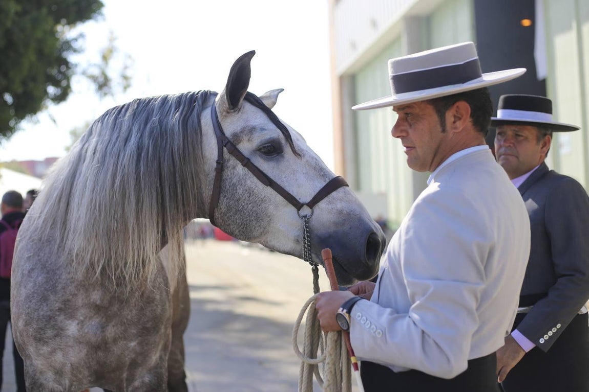 Un jueves muy ambientado en el Sicab 2017