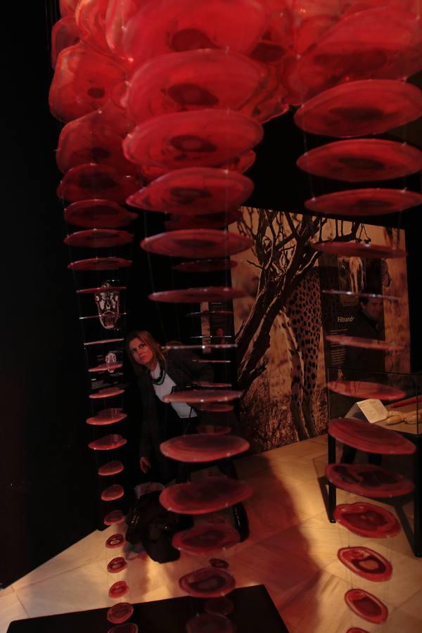 Un safari anatómico llega a Sevilla