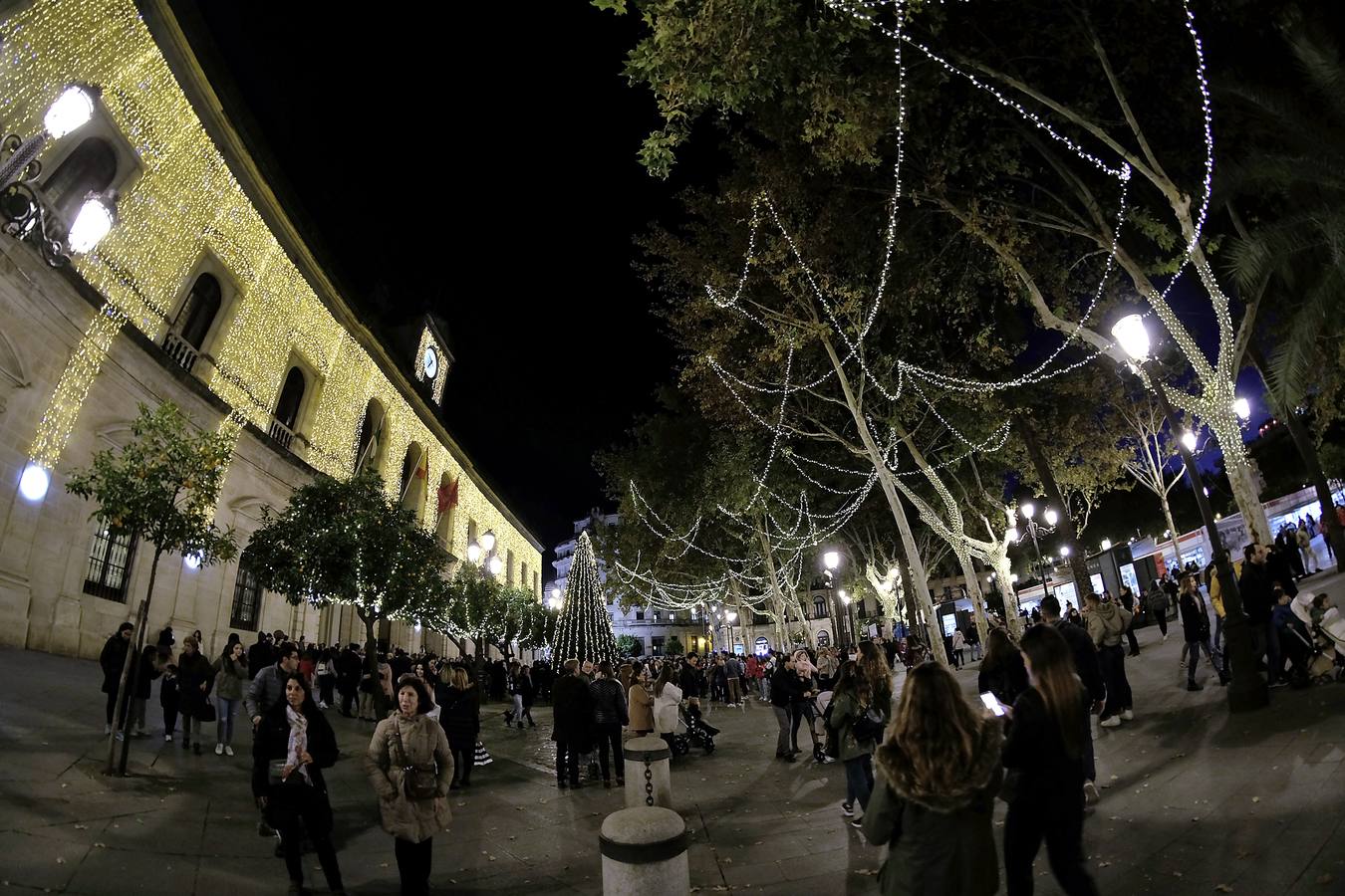 El alumbrado de la iluminación navideña de Sevilla, en imágenes