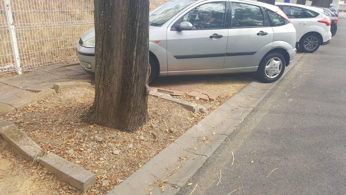 El legado del 92, en el olvido