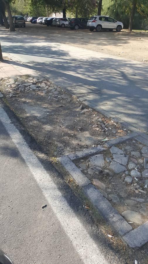 El legado del 92, en el olvido