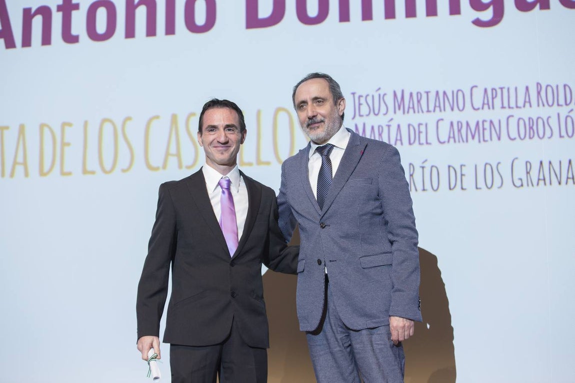 La entrega de los Premios Guichot y Domínguez Ortiz, en imágenes