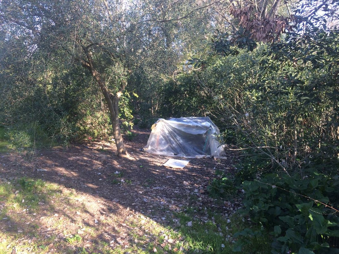 Suciedad, desperfectos, basura... y una guardería okupa en la Cartuja