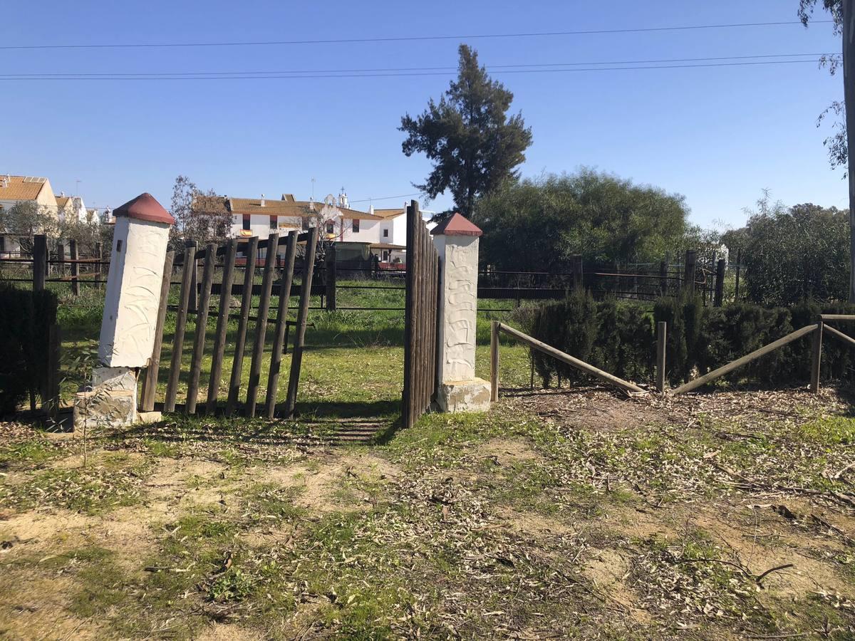 El modelo de desarrollo de Doñana, en ruinas