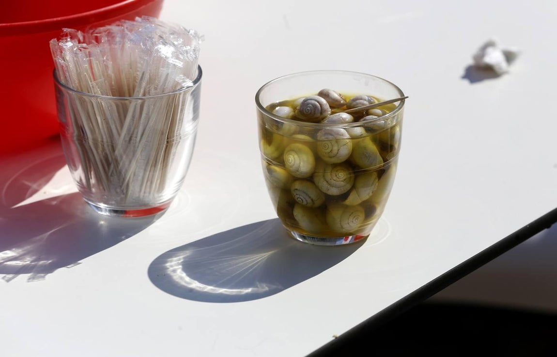 La nueva temporada de caracoles en Córdoba, en imágenes