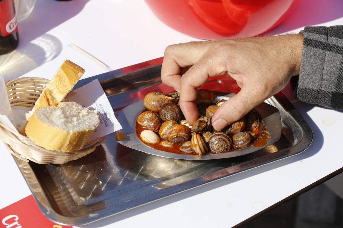 La nueva temporada de caracoles en Córdoba, en imágenes