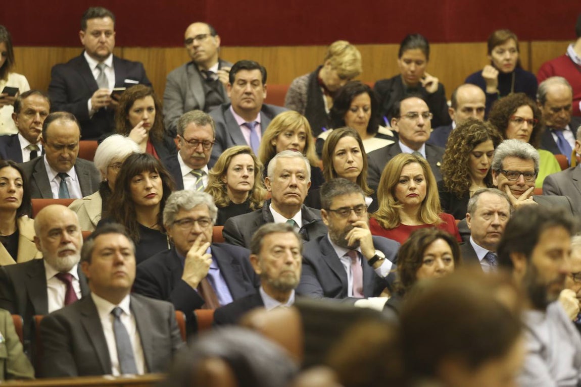 El Pleno institucional por el Día de Andalucía, en imágenes