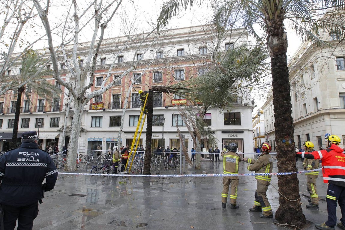 Temporal en Sevilla: El paso de la borrasca Emma por la ciudad, en imágenes