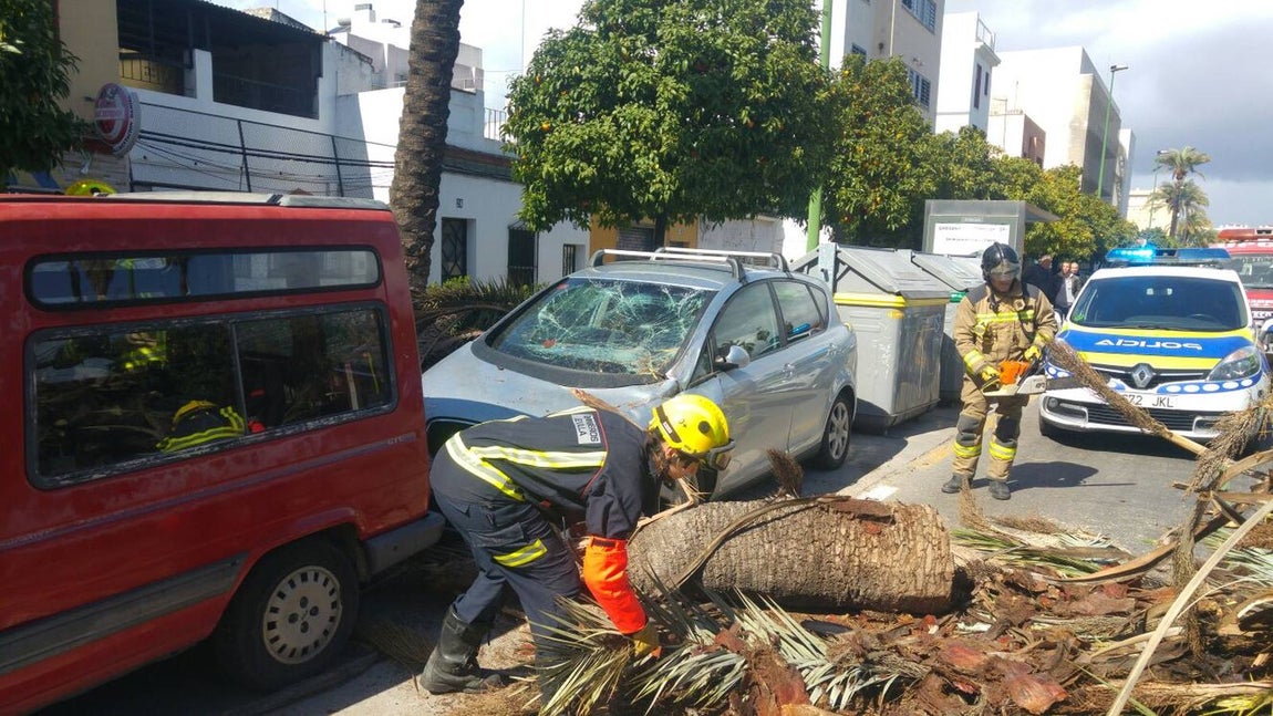 Los estragos del temporal en Sevilla