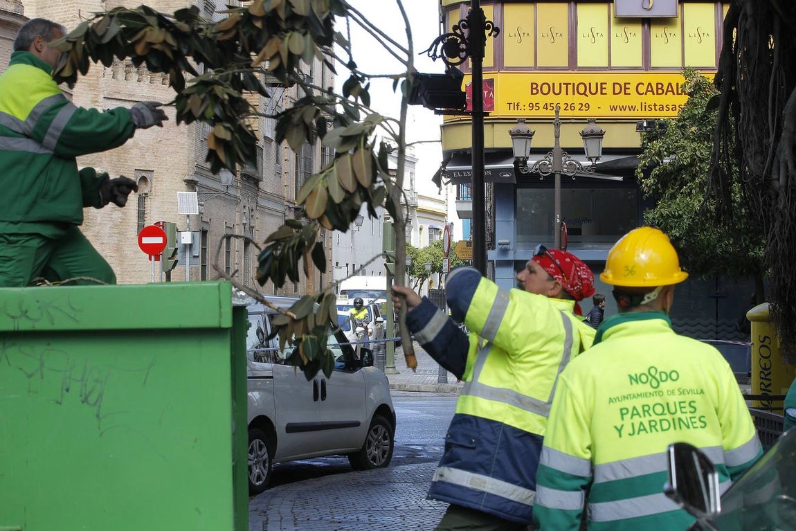 Los estragos del temporal en Sevilla