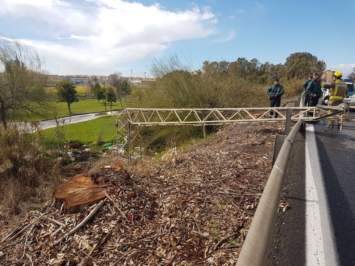 Los estragos del temporal en Sevilla