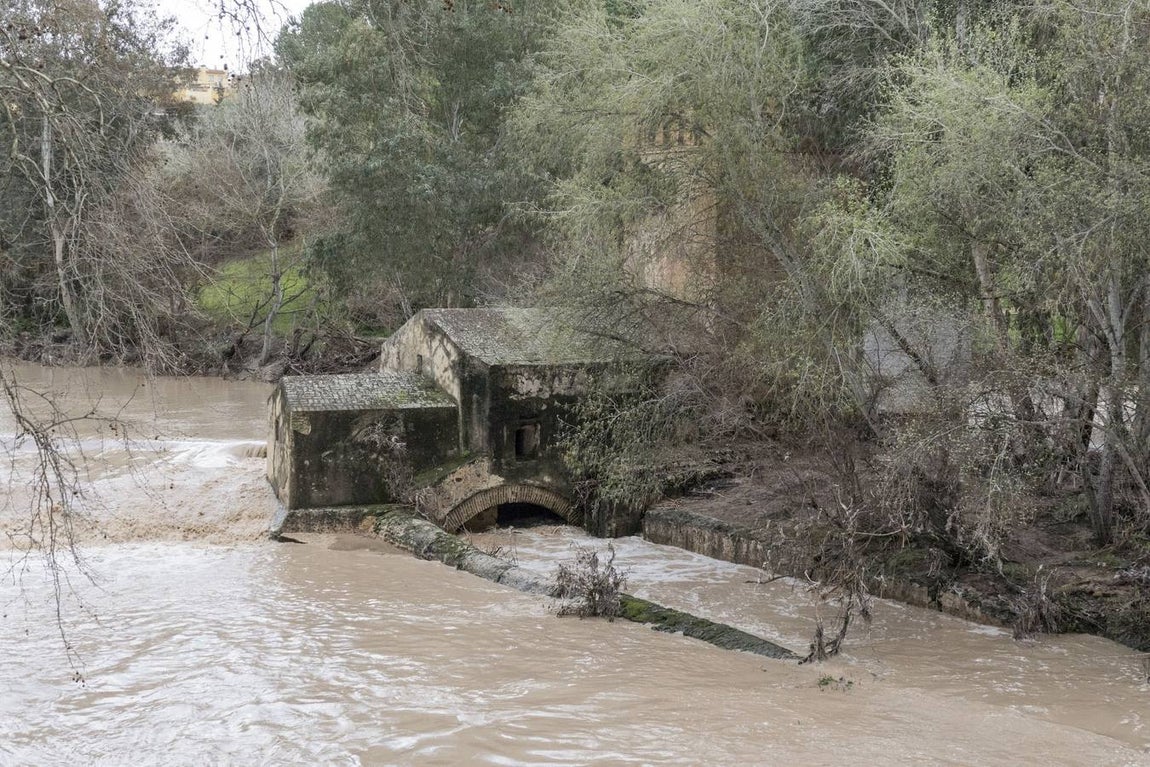 Molinos del río Guadaíra, casi inundados