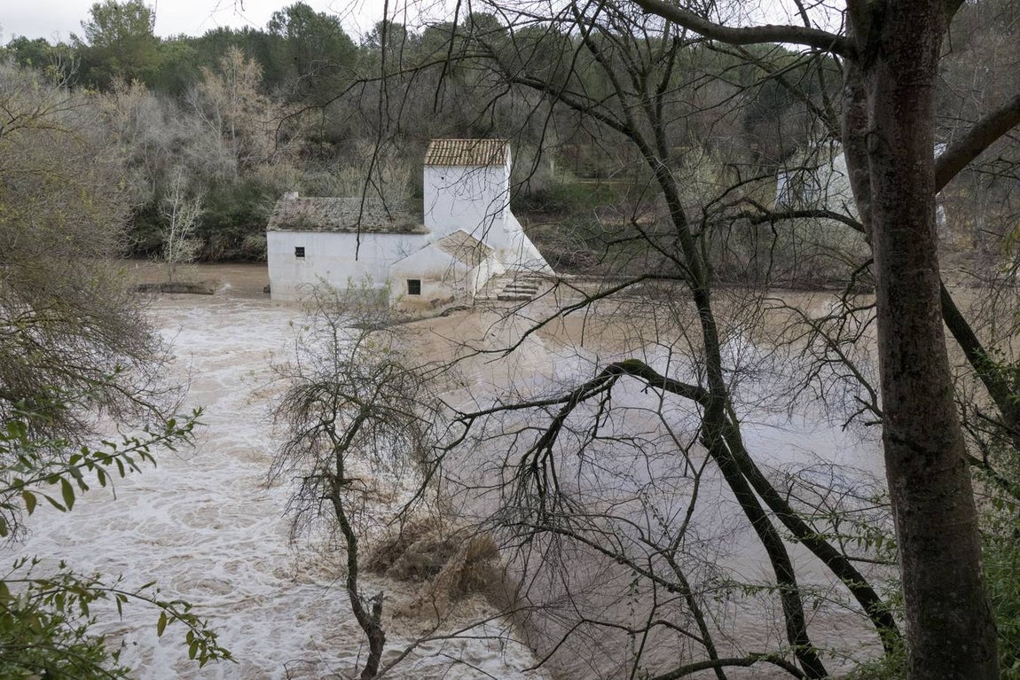 Molinos del río Guadaíra, casi inundados
