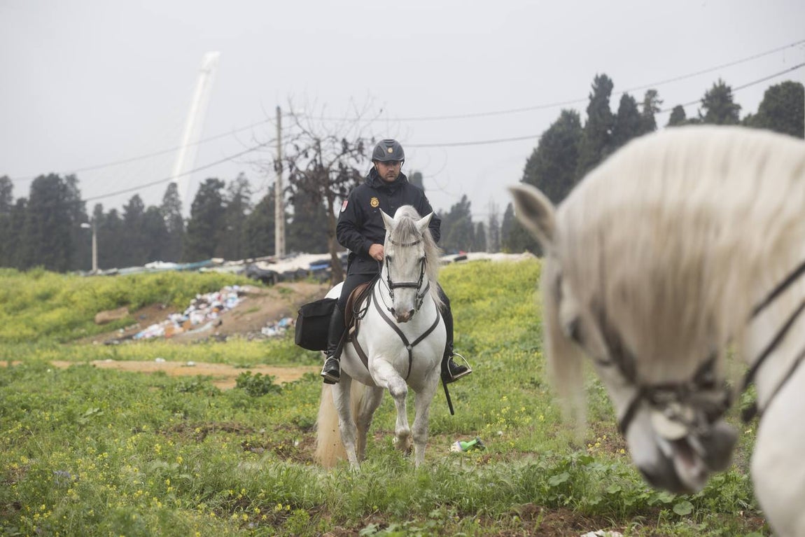 La redada policial en el vacie, Torreblanca y Polígono Sur, en imágenes