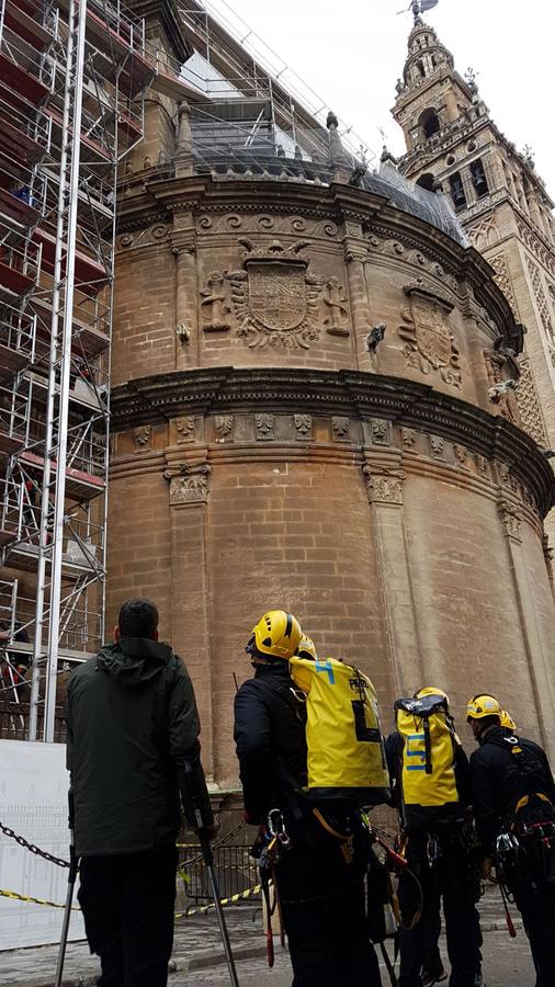Así trabajan los Bomberos de Sevilla en un rescate