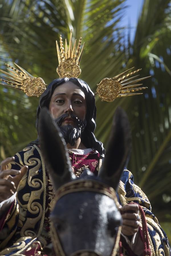 En fotos, La Borriquita abre el Domingo de Ramos en la Semana Santa de Sevilla 2018