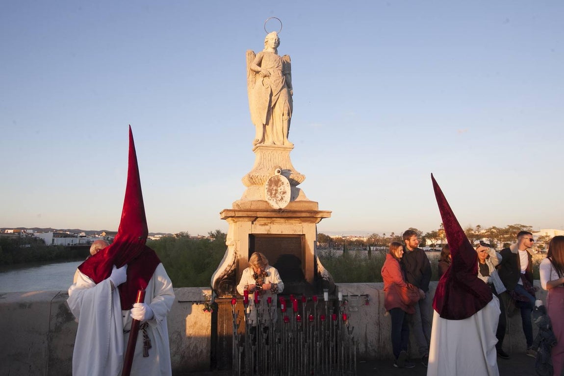 La hermandad de la Vera-Cruz, en imágenes