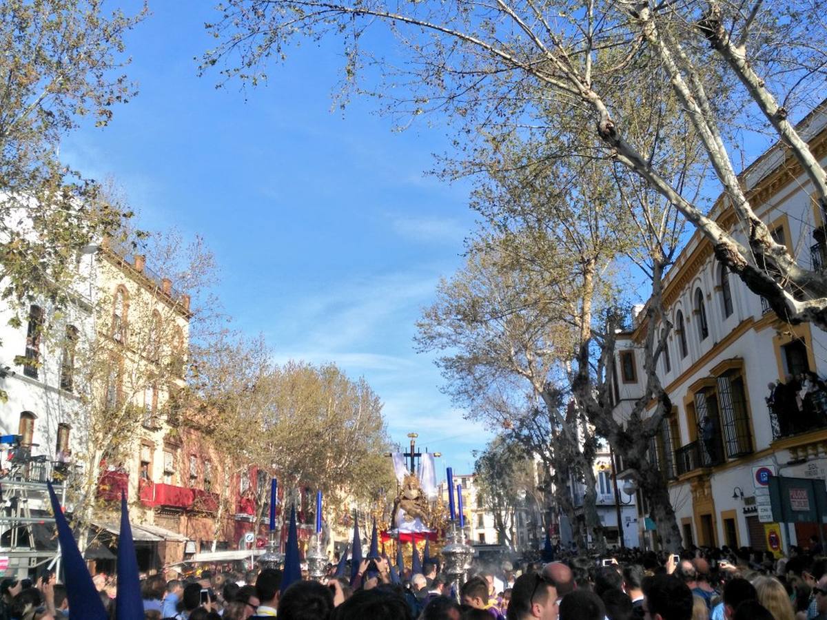 La Semana Santa de Sevilla, tras el objetivo de los lectores de ABC (III)
