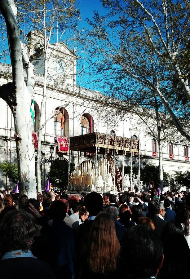 La Semana Santa de Sevilla, tras el objetivo de los lectores de ABC (III)