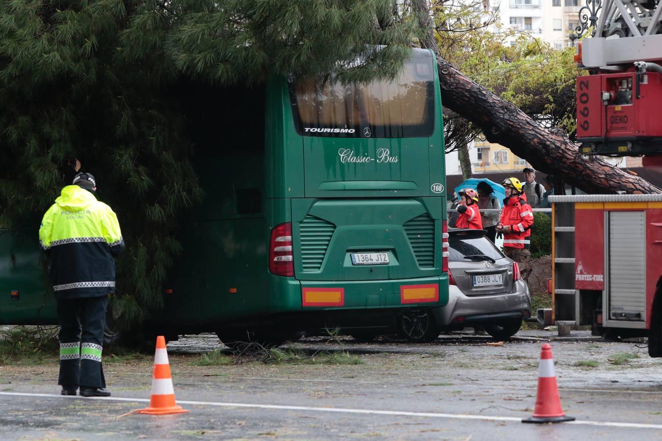 Árbol caído sobre un autobús turístico en el Paseo Colón