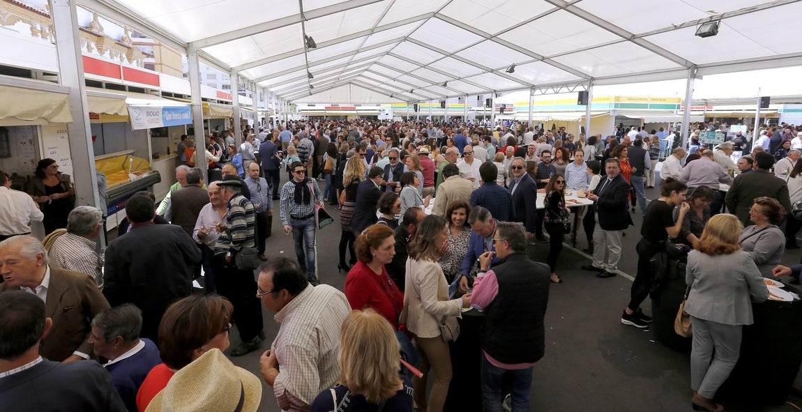 En imágenes, el viernes en la Cata del Vino