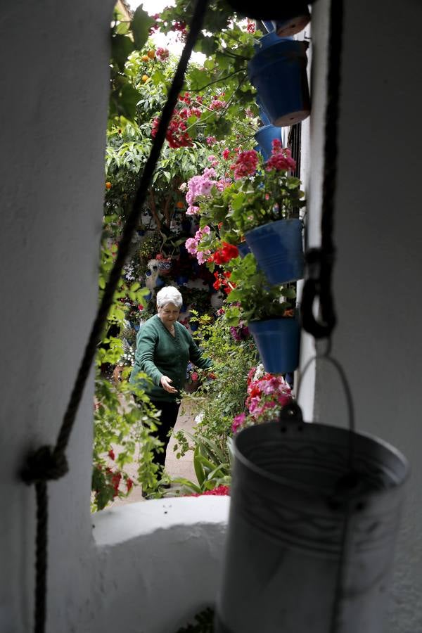Los preparativos de la Fiesta de los Patios de Córdoba, en imágenes
