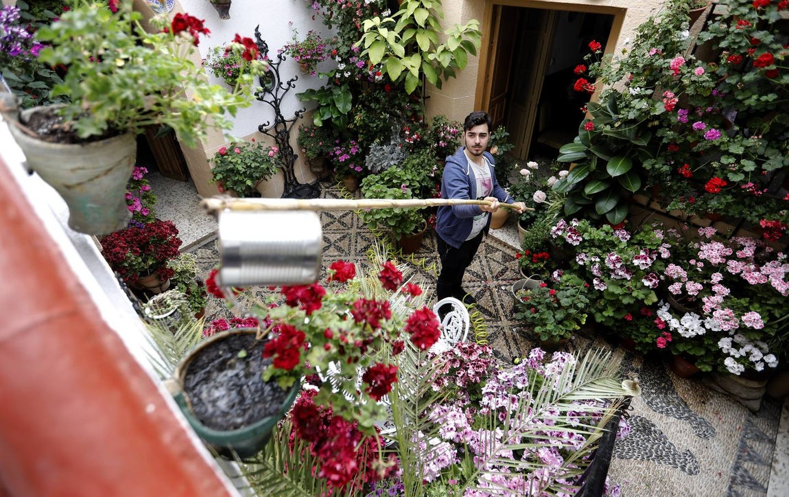 Los preparativos de la Fiesta de los Patios de Córdoba, en imágenes