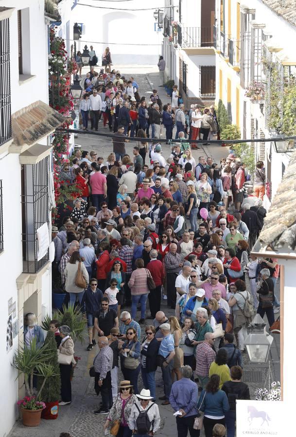 Las colas del primer fin de semana de los Patios de Córdoba de 2018, en imágenes