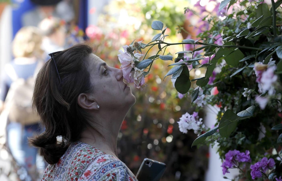 El último día de los Patios de Córdoba de 2018 en imágenes