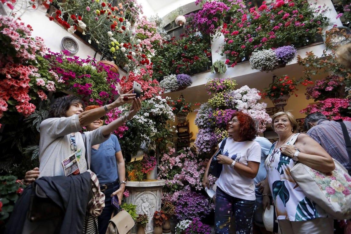 El último día de los Patios de Córdoba de 2018 en imágenes