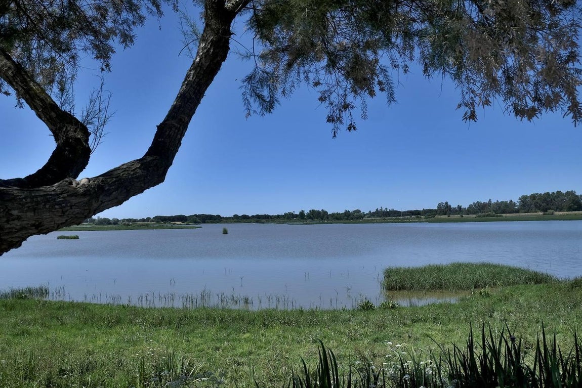 En imágenes: la aldea se prepara para la romería de el Rocío 2018