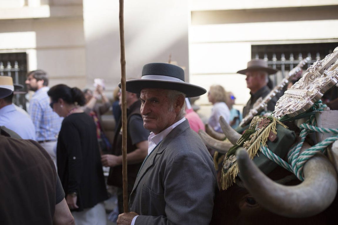 El Rocío 2018 en imágenes: salida de la Hermandad de Sevilla