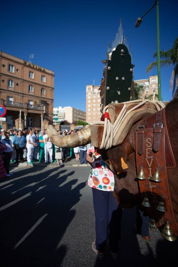 El Rocío 2018: las imágenes más emotivas de la salida hacia la aldea de la hermandad de Sevilla Sur