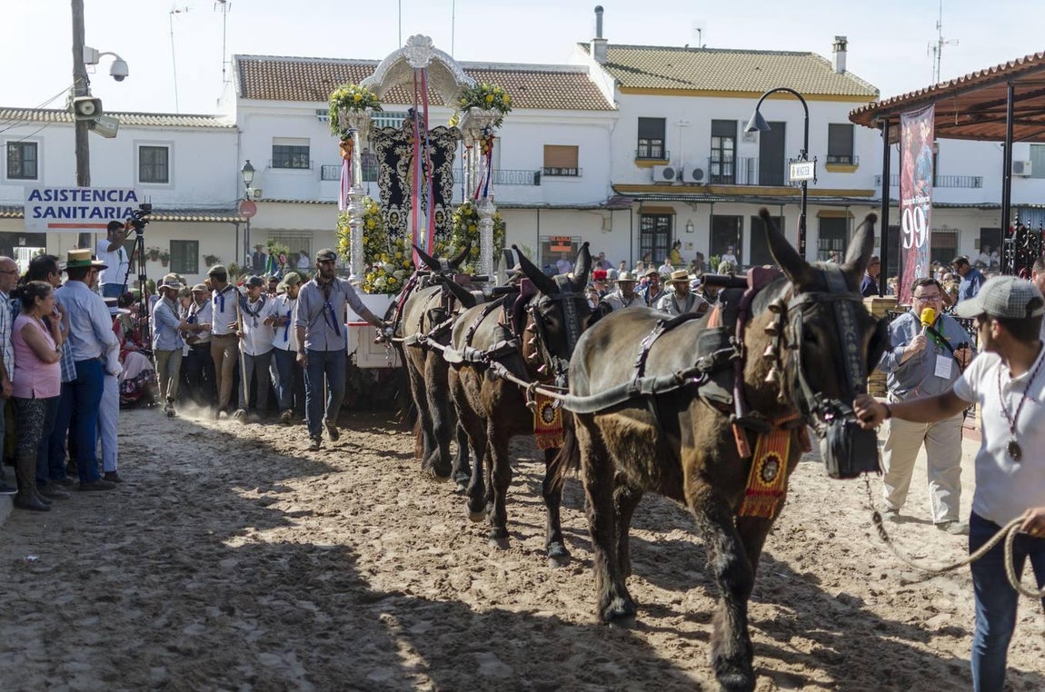 Hermandad de Cartaya