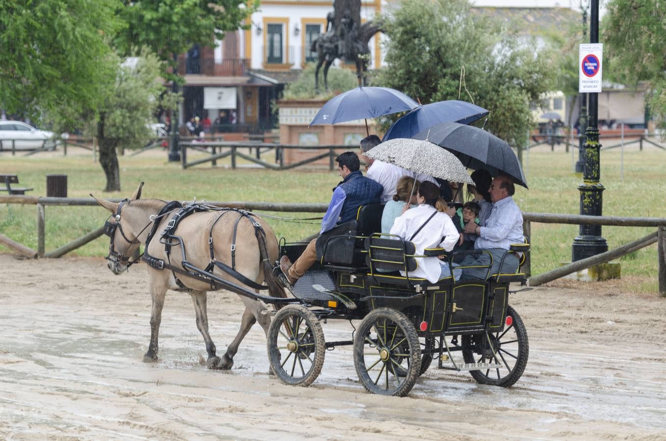 La lluvia irrumpe en la aldea de El Rocío