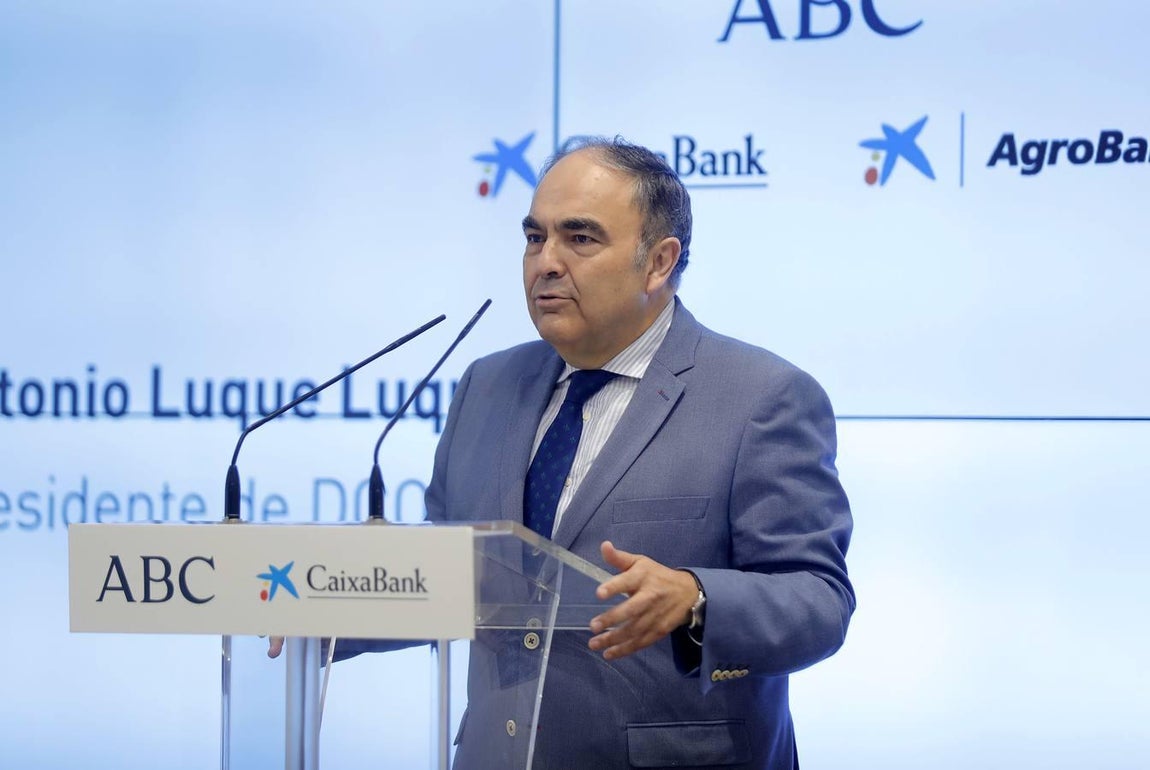 «Necesitamos empresas grandes frente a ataques con aranceles»
