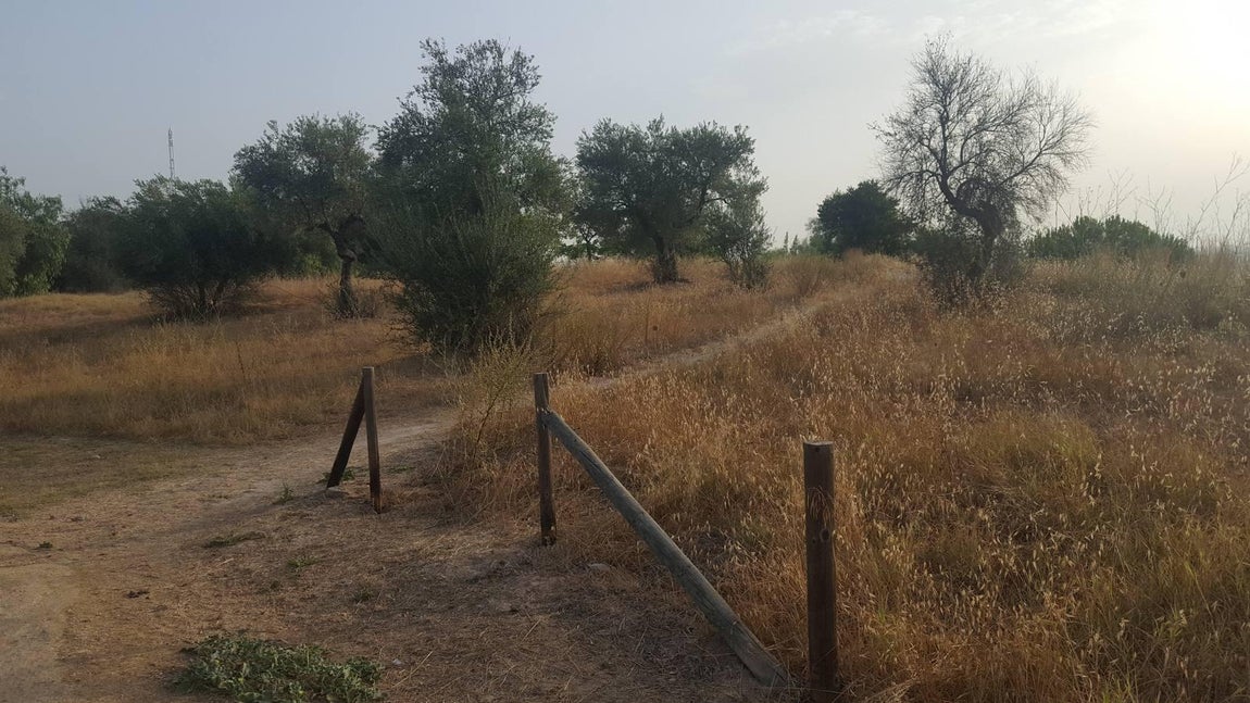 El parque de la cornisa de Gelves, abandonado por el Ayuntamiento