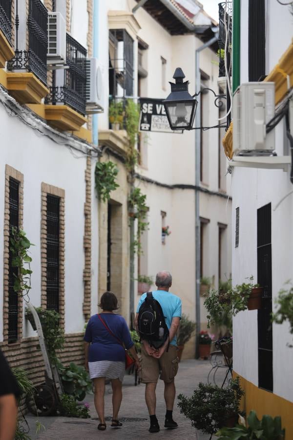 El Festival de las Callejas de Córdoba, en imágenes