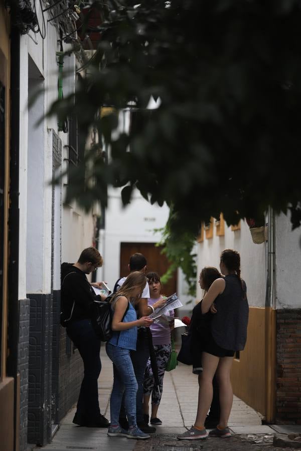 El Festival de las Callejas de Córdoba, en imágenes