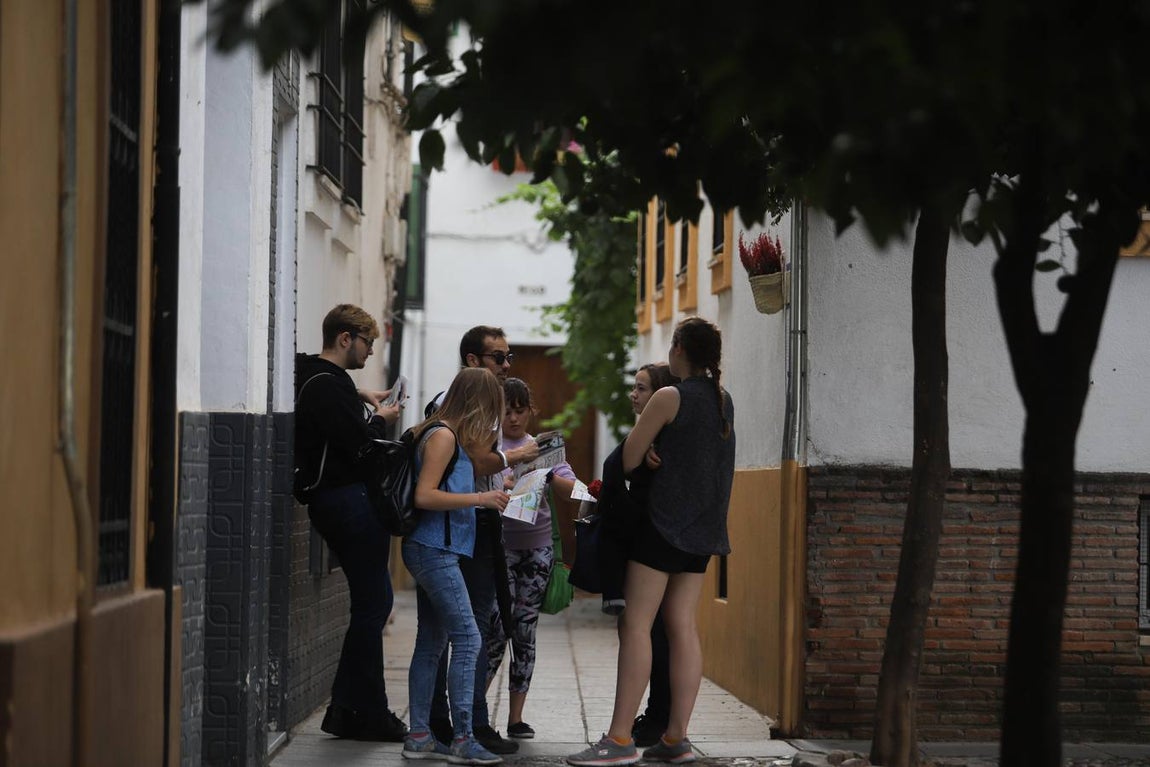 El Festival de las Callejas de Córdoba, en imágenes