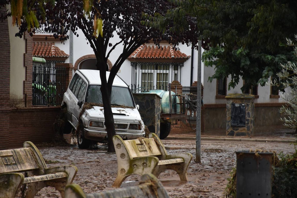 En imágenes, los estragos del temporal en el municipio malagueño de Campillos