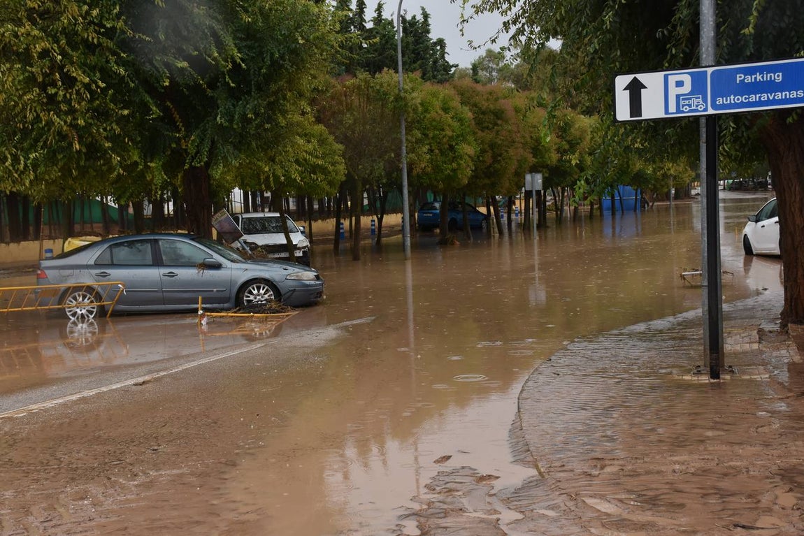 En imágenes, los estragos del temporal en el municipio malagueño de Campillos