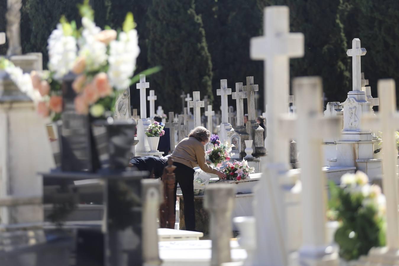 En imágenes: Sevilla continúa la tradición del Día de Todos los Santos