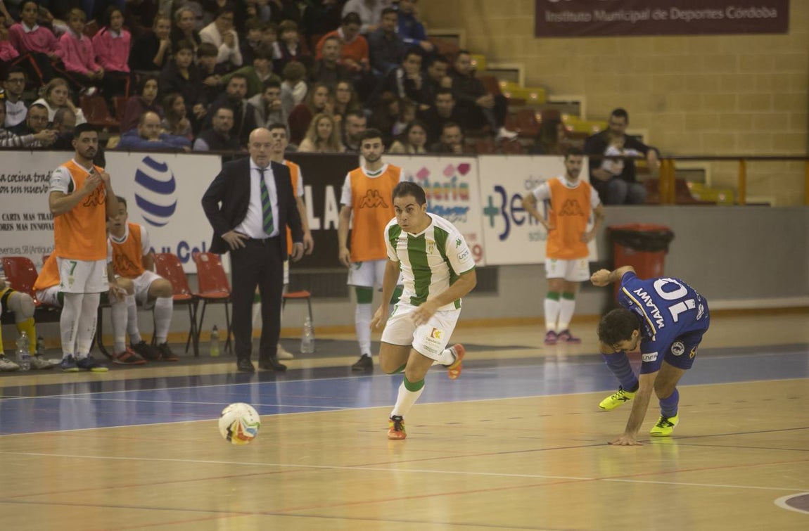 Las mejores imágenes del Córdoba Futsal-Bisontes