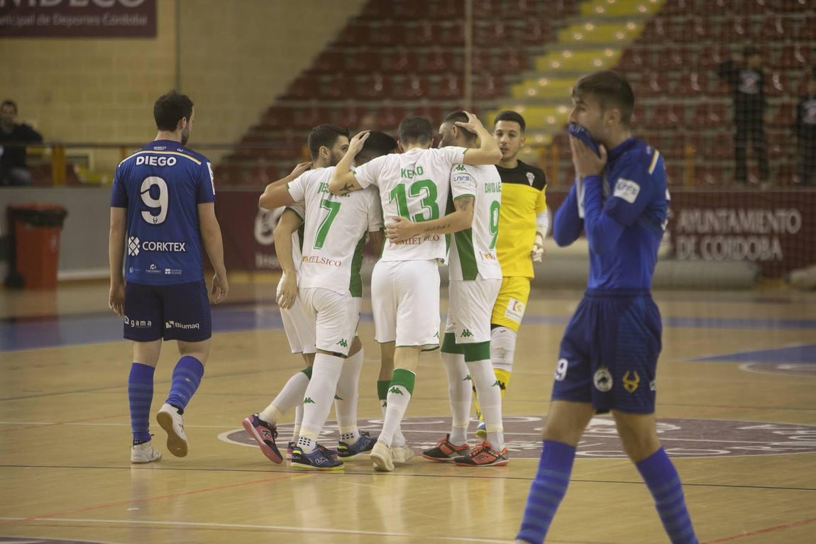 Las mejores imágenes del Córdoba Futsal-Bisontes