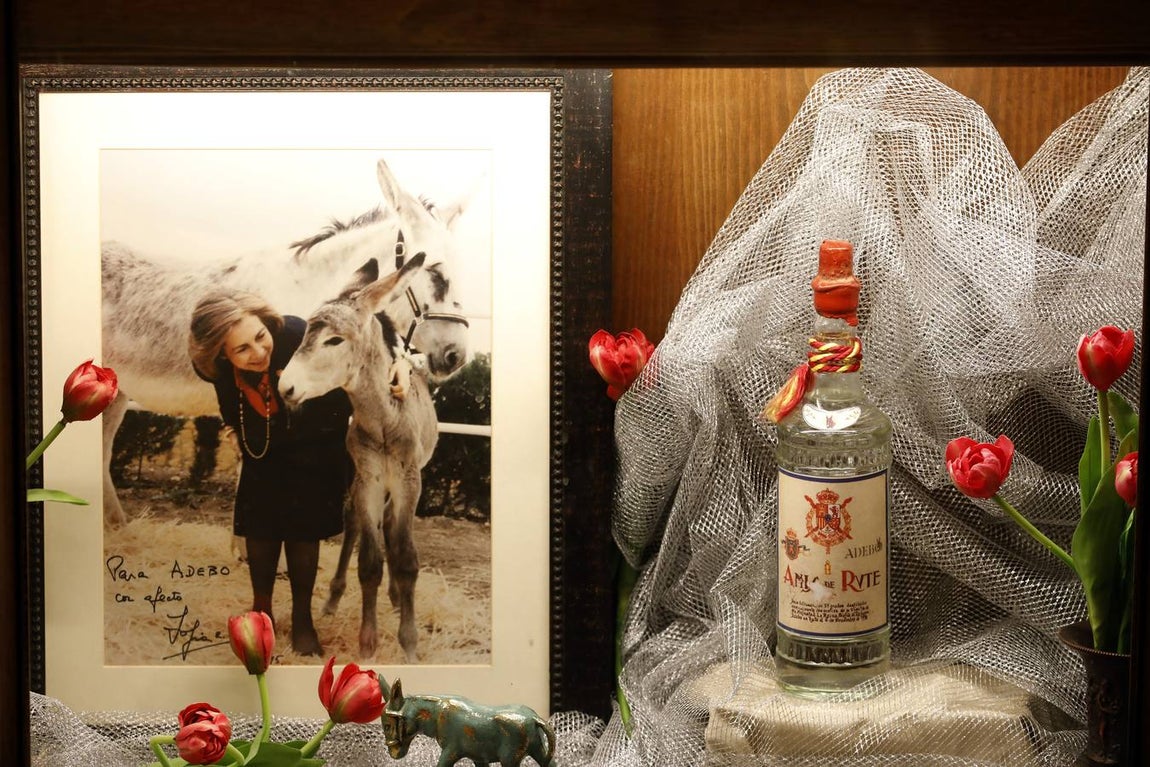 Un paseo por la Navidad de Rute, en imágenes