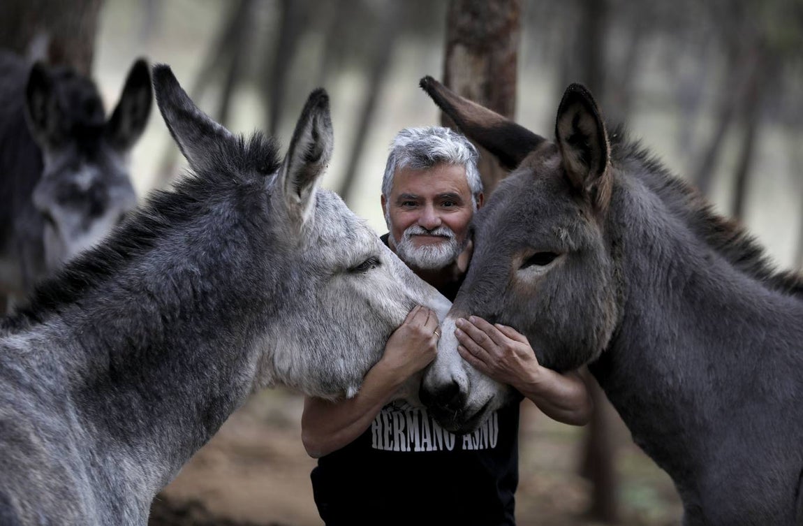 Un paseo por la Navidad de Rute, en imágenes