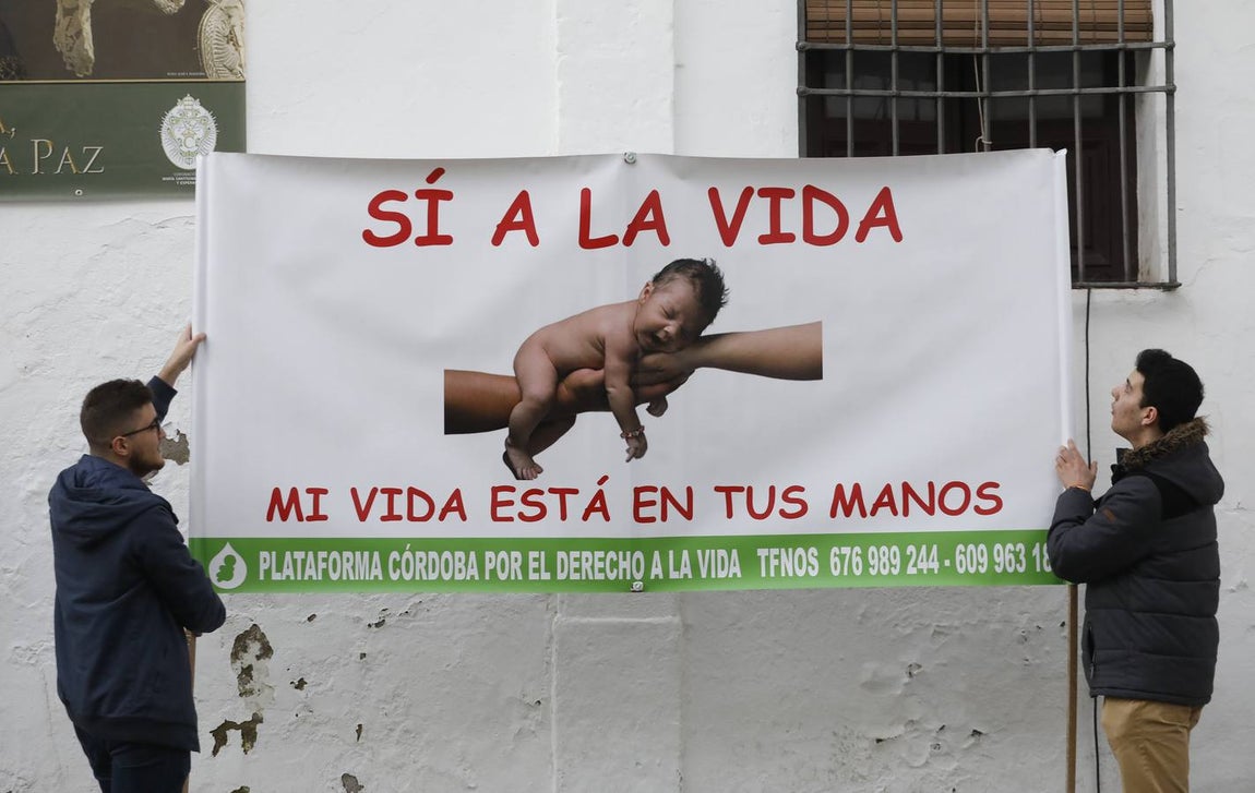 La concentración por el derecho a la vida en Córdoba, en imágenes